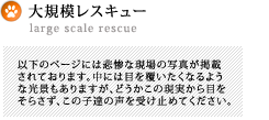 大規模レスキュー