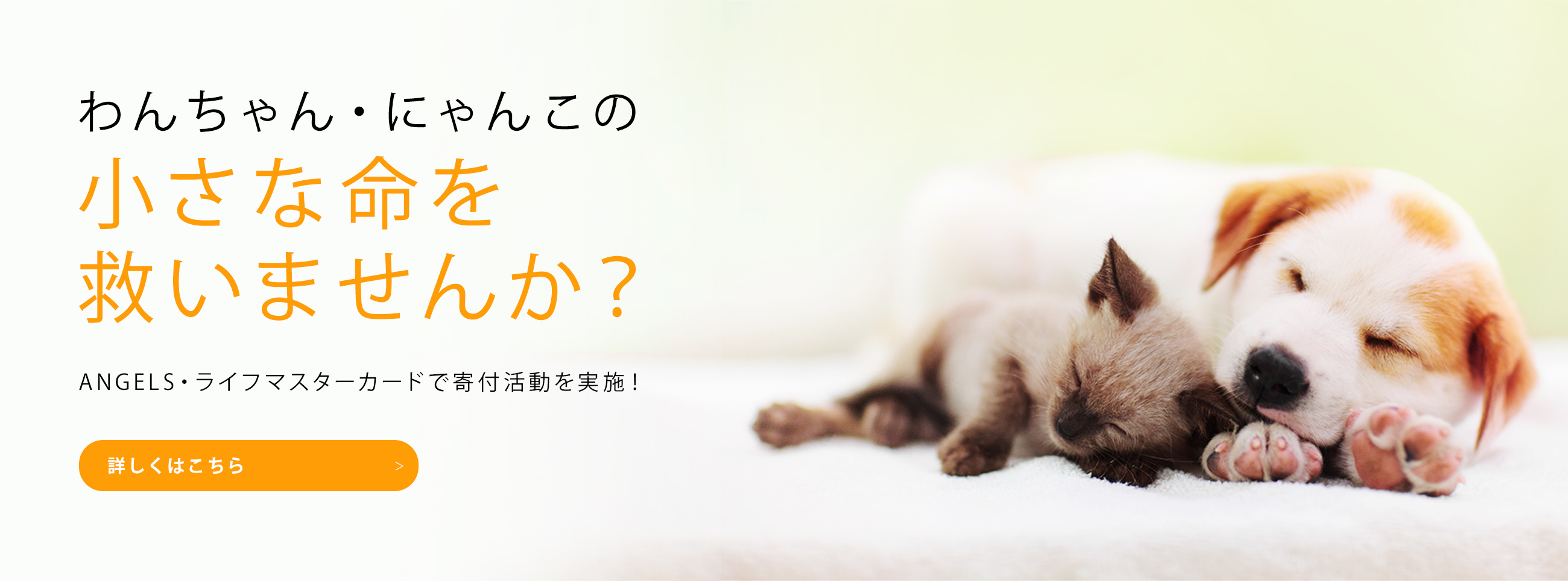 ライフマスターカードで寄付活動を実施