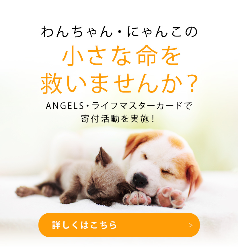 ライフマスターカードで寄付活動を実施